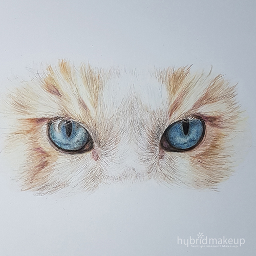 Cat_Eyes_Hybrid_Makeup.jpg