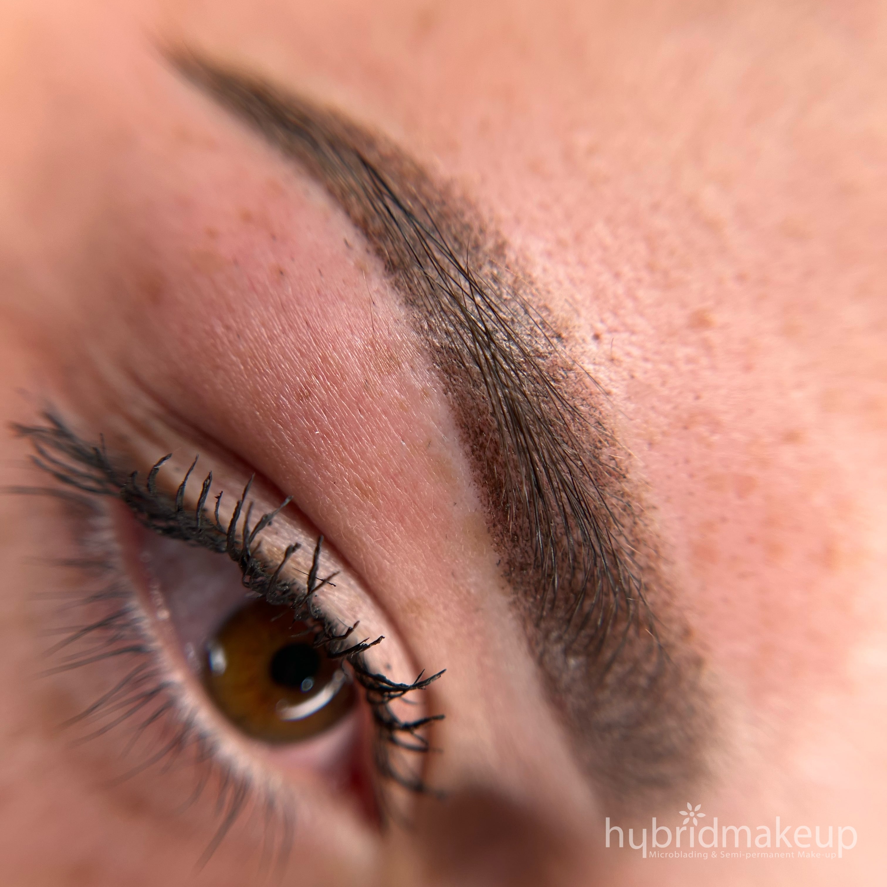 IMG 20220816 201833 894