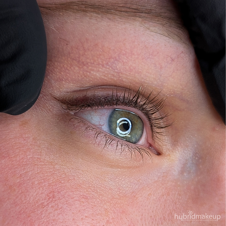 Winged Shaded Eyeliner 6546